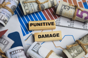 Wood blocks labeled "Punitive Damage" surrounded by rolled U.S. dollar bills and financial charts, symbolizing monetary penalties in civil law cases.