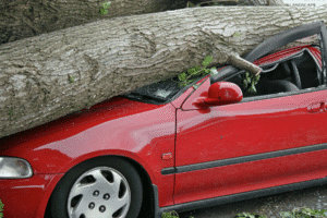 Crushed red car under fallen tree after Arizona storm – Act of God car accident example