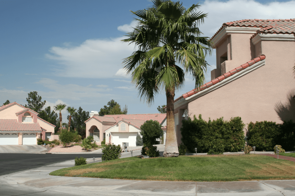 Palm tree in front yard of Scottsdale home highlighting Arizona property maintenance responsibilities